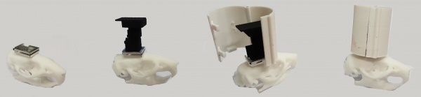 Stages prot cone.jpg